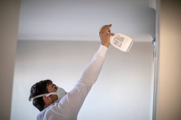 Best Mold Cleaning Services  in Jacksonvle, IL