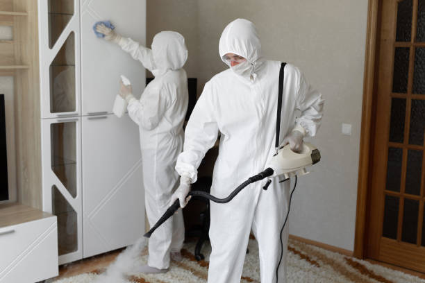 Best Crawl Space Mold Removal  in Jacksonvle, IL