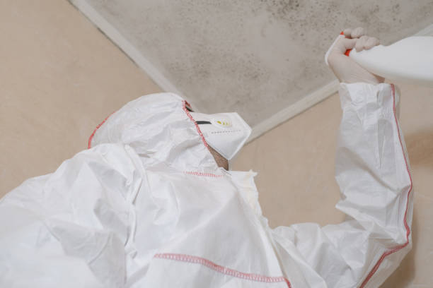Best Office Mold Removal Services  in Jacksonvle, IL